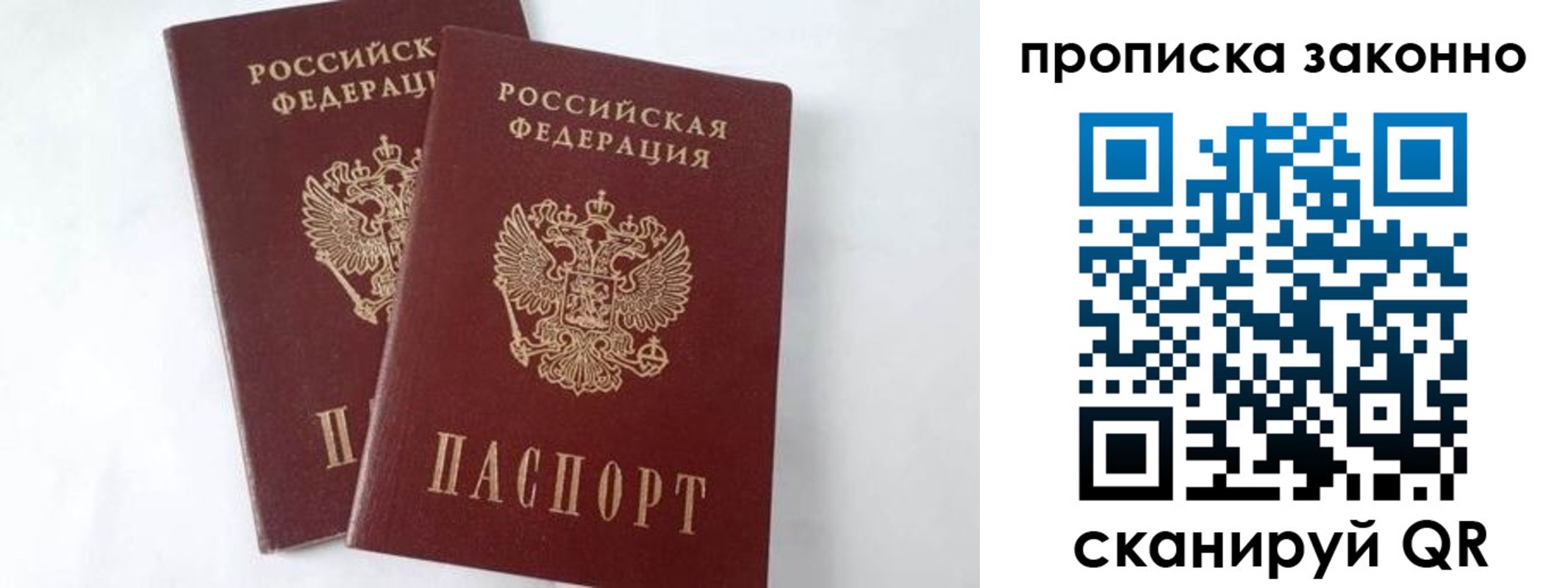 прописка в Кировске